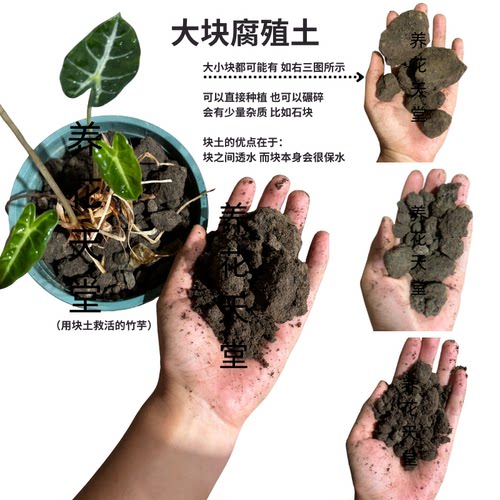 9斤 蚯蚓粪大块腐殖土 种植基质配土介质