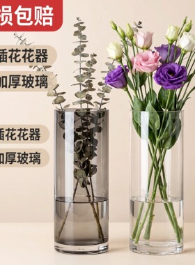 简约透明直筒玻璃花瓶客厅摆件