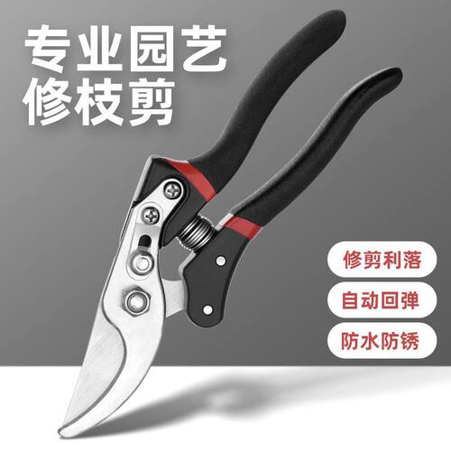 代发园林粗枝剪强力果树剪刀修树枝剪刀园林园艺剪刀苹果树枝剪子