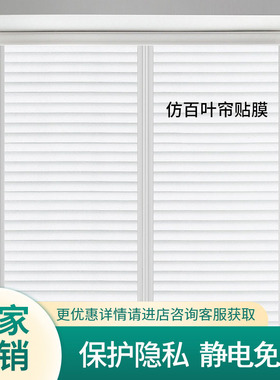 透光不透明窗户贴膜客厅卧室装饰窗花贴静电磨砂仿百叶帘玻璃贴纸