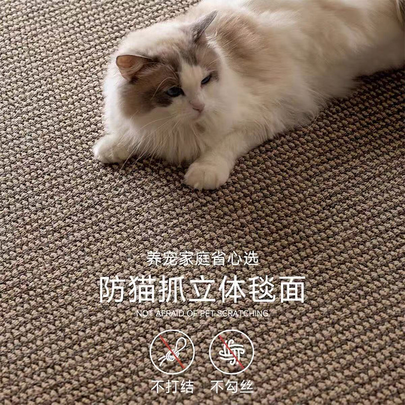 华德仿剑麻地毯可上墙拍照客厅卧室床边毯民宿工作室满铺猫爪垫图片