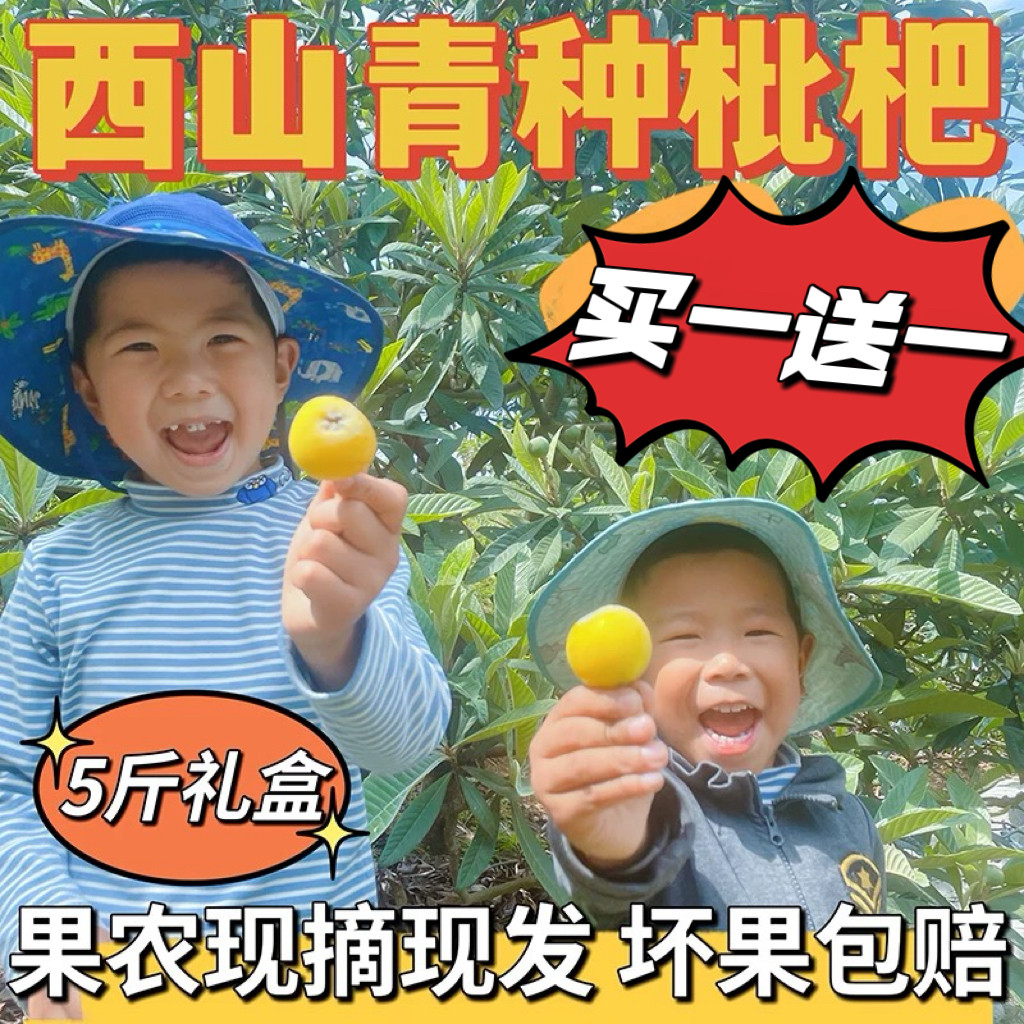 超甜苏州西山青种枇杷果当季现摘新鲜琵琶水果非东山白玉礼盒顺丰