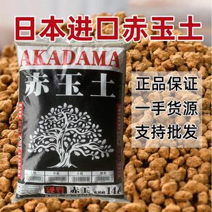 盆景专用赤玉土乌龟爬宠造景纯赤玉土日本进口赤玉土扦插颗粒包邮