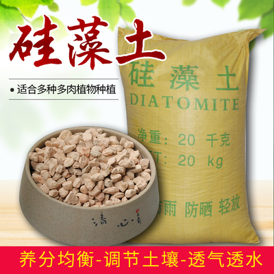 硅藻土颗粒园艺铺面石守宫垫材