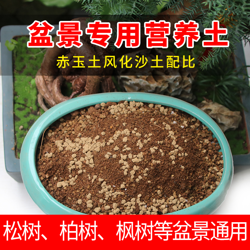 九鹊盆景专用土沙土赤玉土包邮