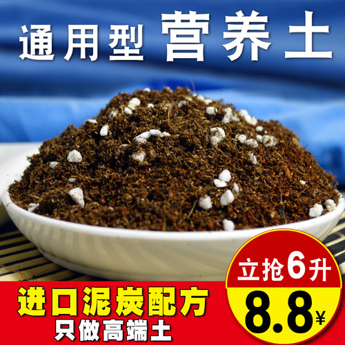 绿萝月季种菜盆栽肥料专用土包邮