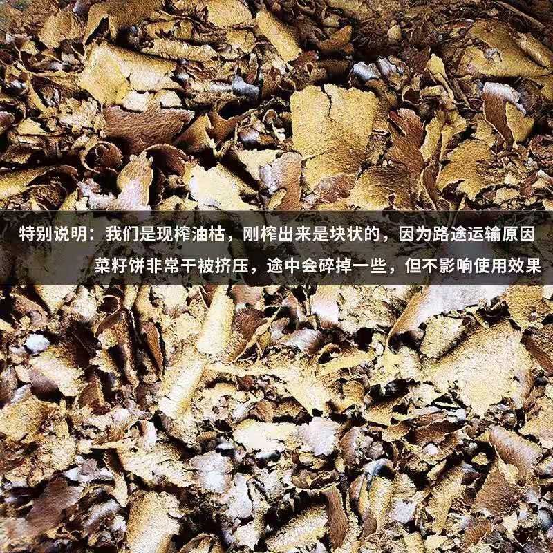 清仓】正宗菜籽饼批发河南现榨菜籽油饼肥料菜籽油枯粉块钓鱼打窝