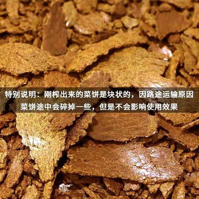 正品菜籽饼肥正宗批发农用现榨菜籽油枯油饼肥料饲料钓鱼打窝菜枯