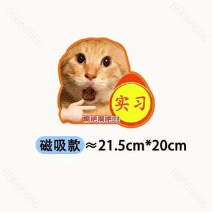 搞笑猫咪实习车贴2026新款创意新手司机反光汽车车尾磁铁装饰贴