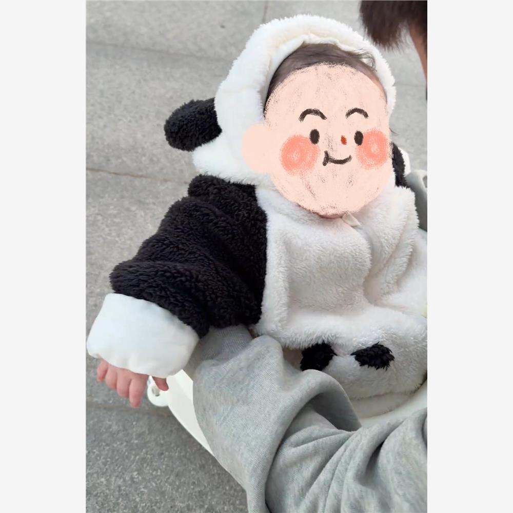 小熊猫可爱卡通婴儿秋冬