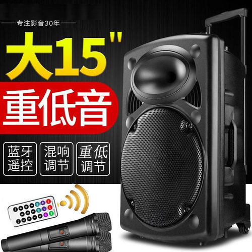 电子小提琴音箱12寸户外