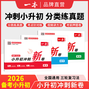 2026新版 保证 一本小升初冲刺新卷语文数学英语小升初真题卷模拟卷总复习分类试卷名校冲刺历年真题试卷全国通用品牌直营正版