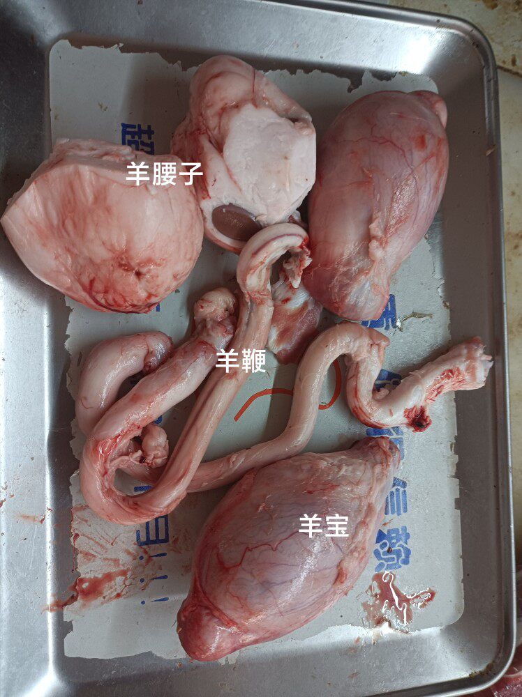 羊腰子 羊宝 羊鞭