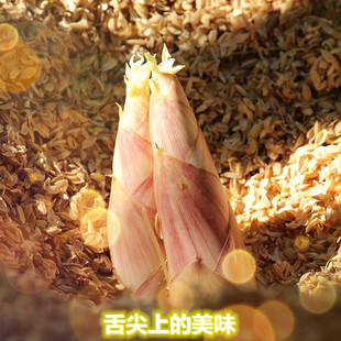 临安天目山雷笋春笋小竹笋新鲜冬笋油焖笋腌笃笋农家野生蔬菜3斤