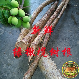 新鲜 橄榄树根 青果树根 青橄榄根无硫白榄根 现挖整段500克包邮
