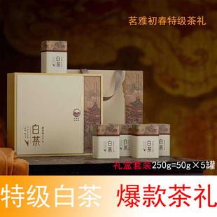 2025年白茶新茶正宗安吉高山珍稀绿茶特级明前茶250克礼盒装礼品