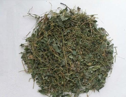 七叶胆 500g 五叶参 七叶参 小苦药两斤包邮