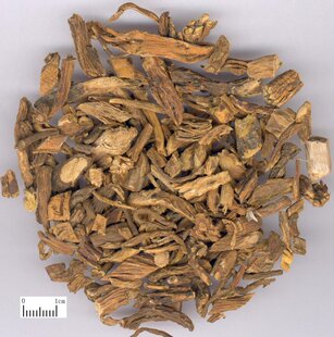 中药材秦艽100g麻花艽 小秦艽西秦艽