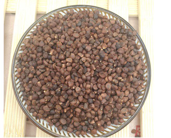 马兰子500g马蔺子 蠡实 荔实 马莲子 马帚子