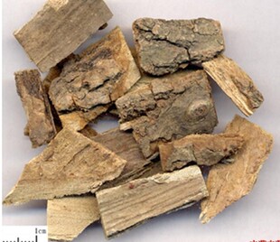 海桐皮500g海桐皮 钉桐皮 鼓桐皮 刺桐皮