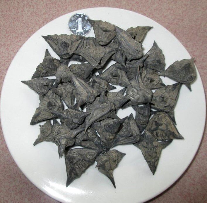 菱角 菱角500g野生小菱角 干菱角 带壳菱角