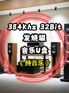 384khz32bit转盘数字音乐u盘纯音乐乐器演奏无损wav立体分轨解码