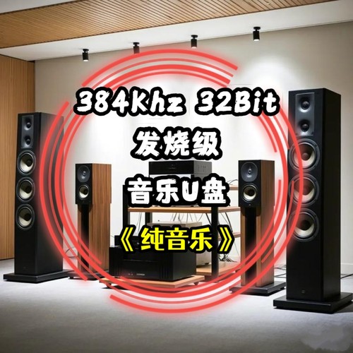 384khz32bit转盘数字音乐u盘纯音乐乐器演奏无损wav立体分轨解码