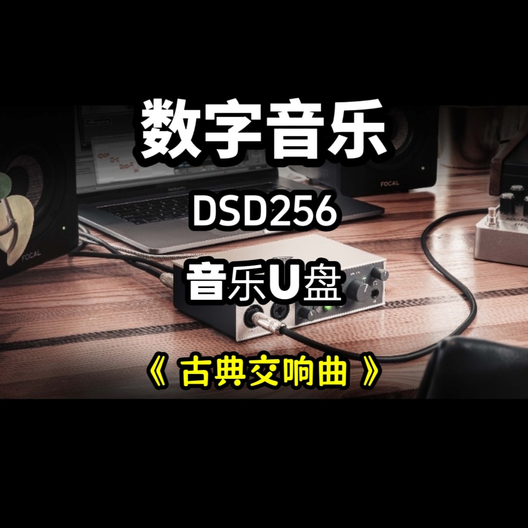 DSD数字音乐u盘古典交响曲立体声分轨环绕重低音家用车用车载解码