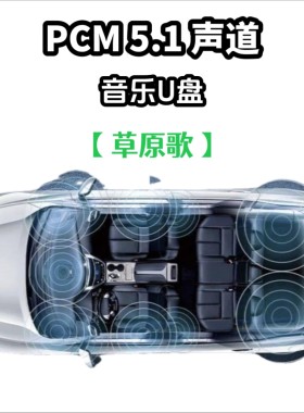 pcm5.1wav格式音乐u盘草原歌曲dts音效独立分轨环绕车用车载解码