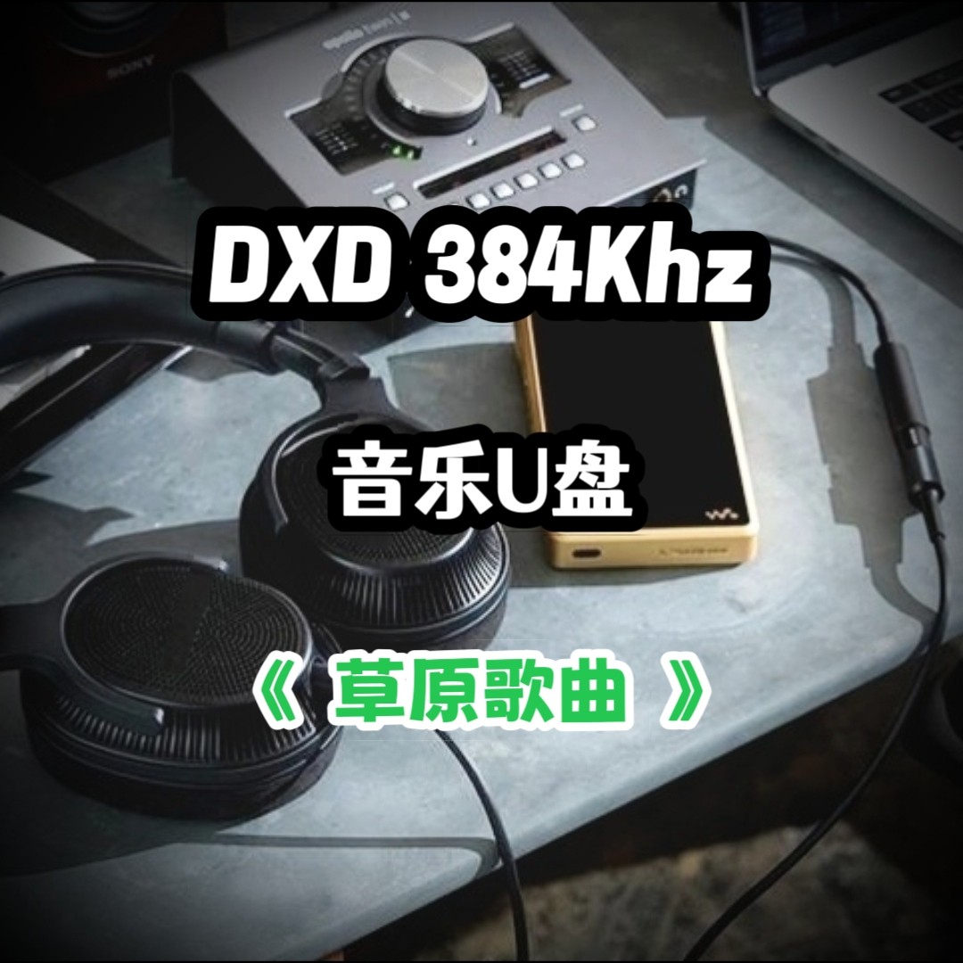 DXD384Khz数字音乐u盘经典草原歌曲立体分轨环绕家用车用车载解码