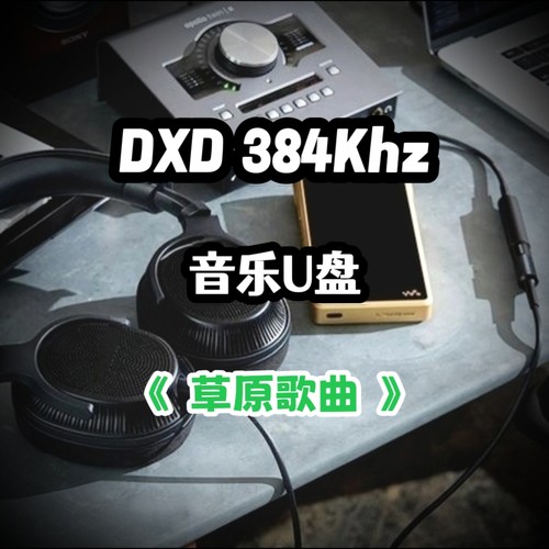 DXD384Khz数字音乐u盘经典草原歌曲立体分轨环绕家用车用车载解码