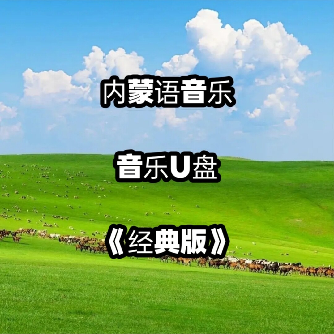 内蒙语音频音乐U盘本土情歌民歌说唱流行舞蹈高品质立体环绕优盘