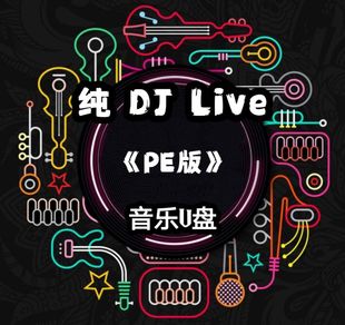 超强立体声纯DJLivePE版音乐u盘环绕低音家用车用车载酒吧usb插口