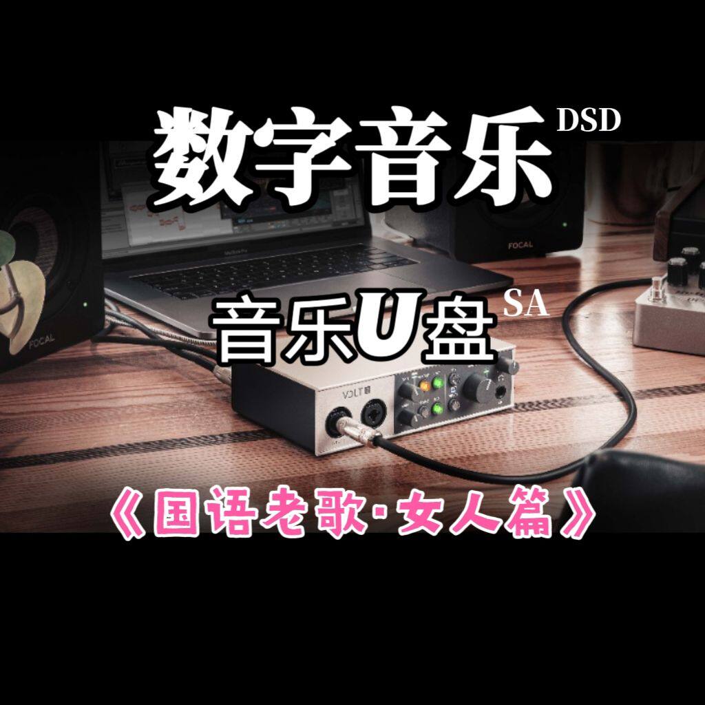 DSD数字音乐u盘国语老歌立体分轨环绕重低音家用车用车载解读解码