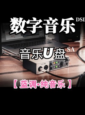 DSD数字音乐u盘蓝调纯音乐立体分轨环绕重低音家用车载解读解码