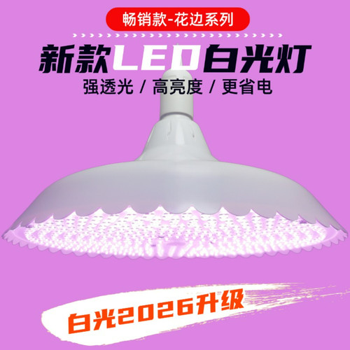 220V超亮无频闪装饰照明灯泡