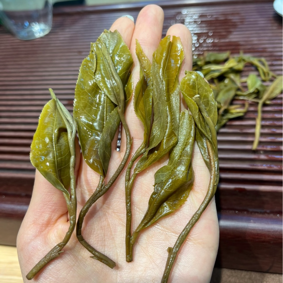 新人必拍！每人限40单！昔归百年古树纯料！高鲜高甜！菌香显现！,茶,普洱,淘宝优惠券,粉丝福利购,淘宝优惠卷