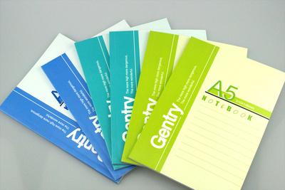 伟盛a4商务记事本子A5B5