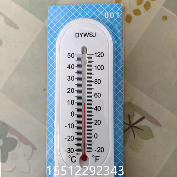 长白条DYWSJ001干湿计温湿度计表