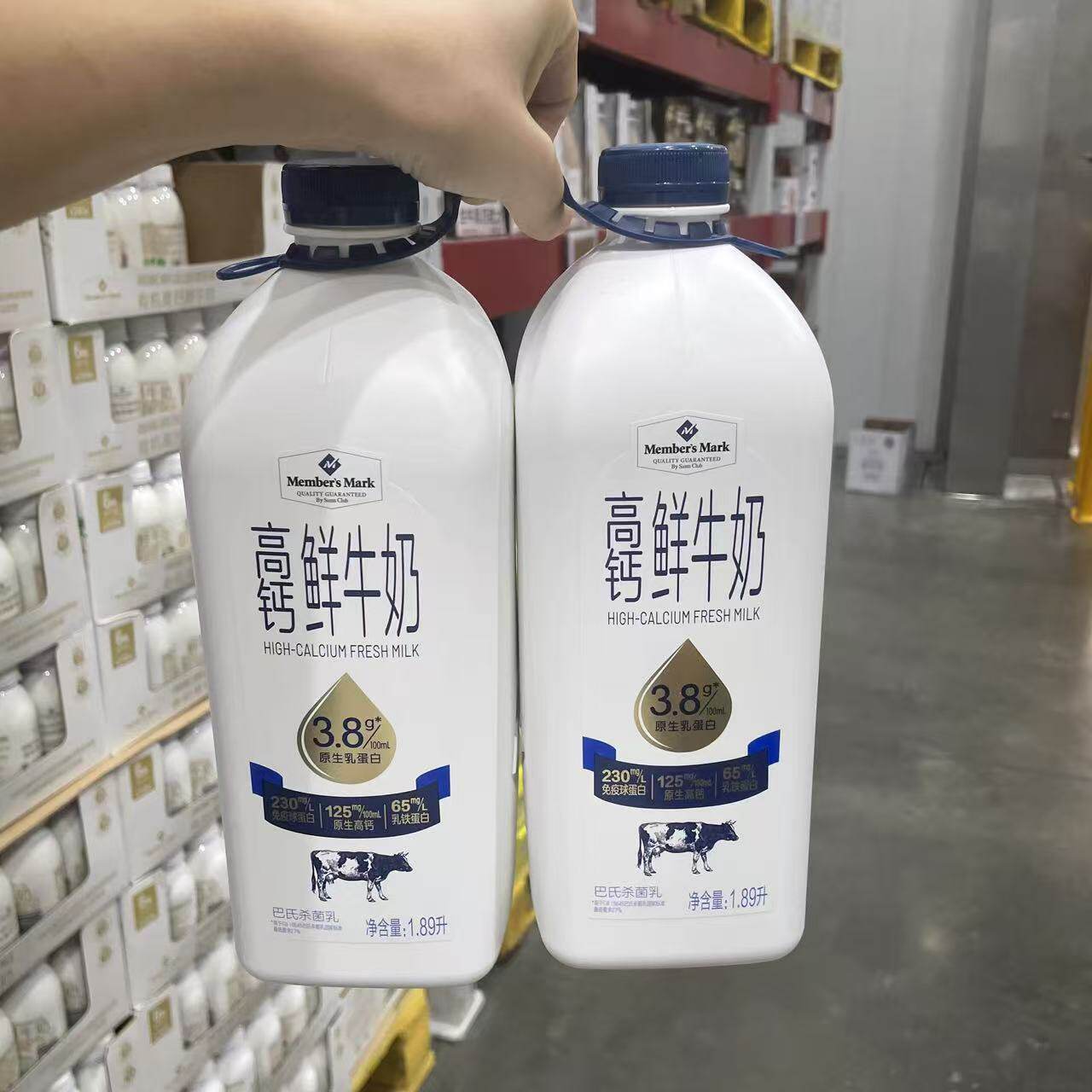 MM高钙鲜牛奶1.89L原生乳蛋白