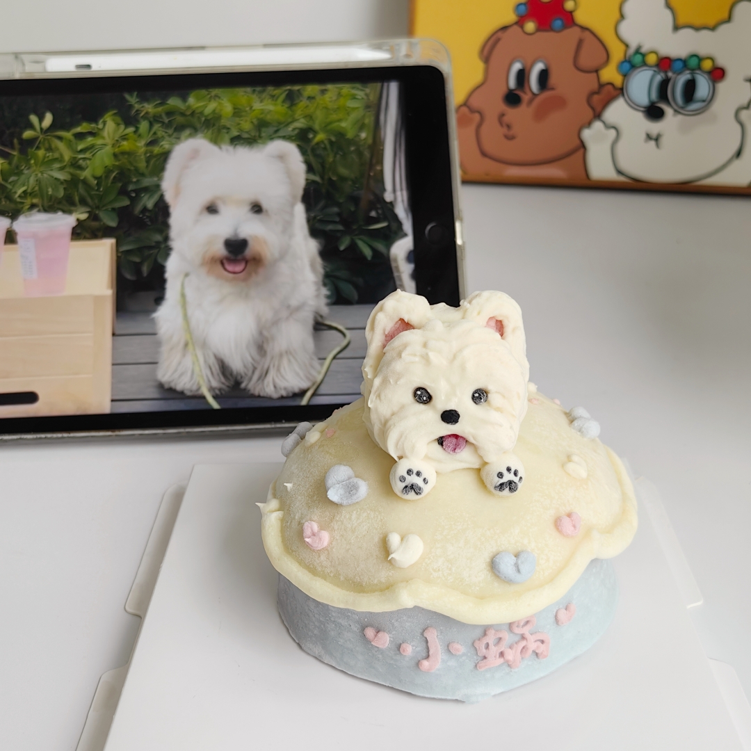 宠物生日蛋糕狗狗猫咪生日蛋糕