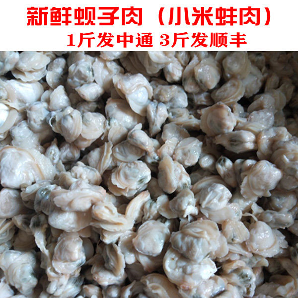 食用农产品新鲜蚬子肉去壳净肉