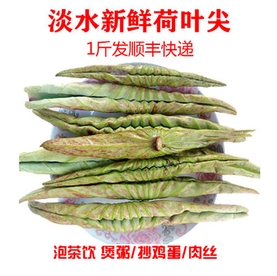 10月顺丰发食用荷叶尖新鲜