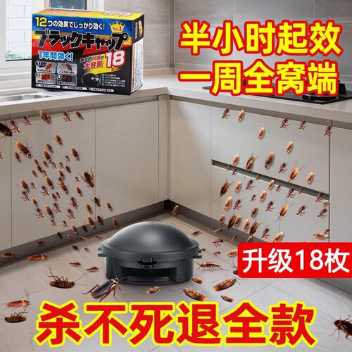 【灭蟑神器】大小蟑螂通杀型小强克星日本灭蟑神器厨房家用一窝端