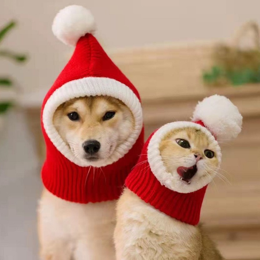 宠物新年帽狗红色毛线帽柴犬法斗泰迪比熊金毛大狗人圣诞节帽可爱
