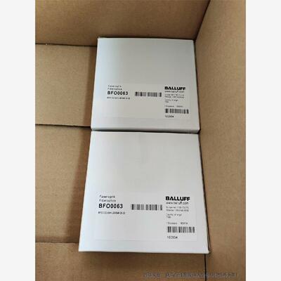 巴鲁夫 BFO0063 BFO D22-XAH-L