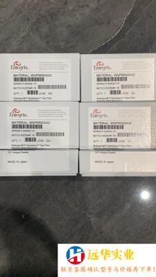 Entergris英特格 垫片式过滤器 1/4