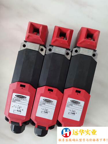 邦纳 门锁开关传感器SI-LS42DMH 803290 47