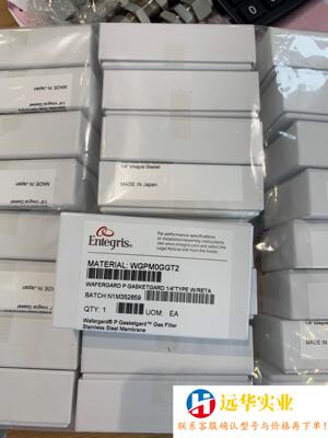 Entergris英特格 垫片式过滤器 1/4