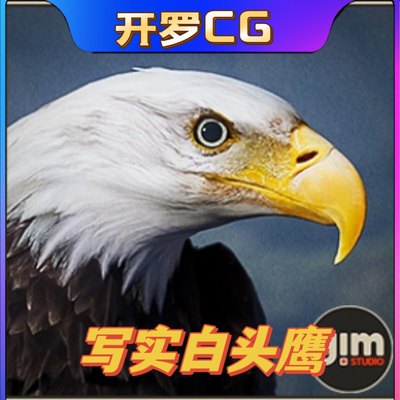 UE4虚幻5.3 Animalia - Bald and Golden Eagle 白头鹰模型带动画